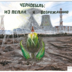 Областной конкурс ПОСТЕРОВ, посвященных 40-летию катастрофы на Чернобыльской АЭС