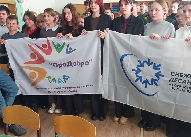 Снежный десант